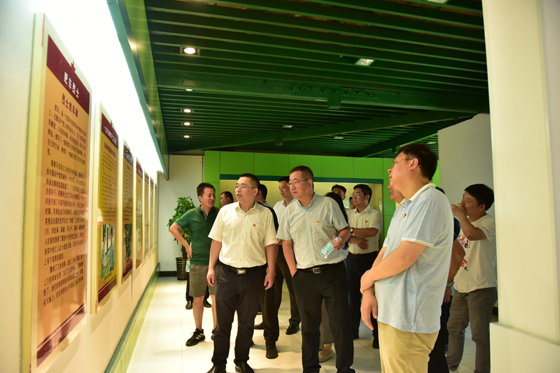 市政分公司黨總支、合肥市重點局直屬黨委第二黨支部聯(lián)合開展主題黨日活動3